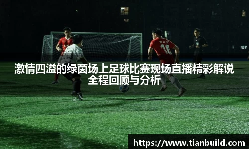 龙珠体育直播
