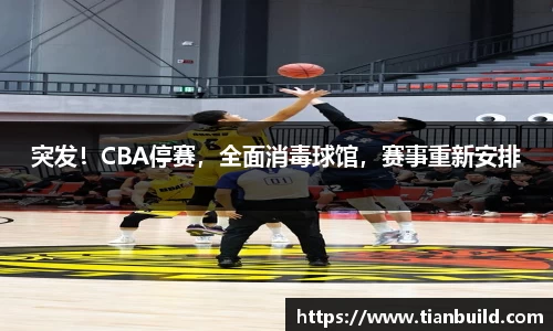 龙珠体育