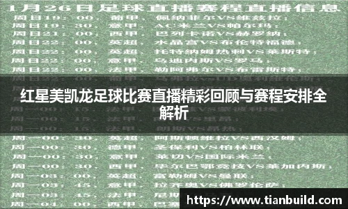 龙珠体育直播
