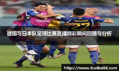 龙珠体育直播