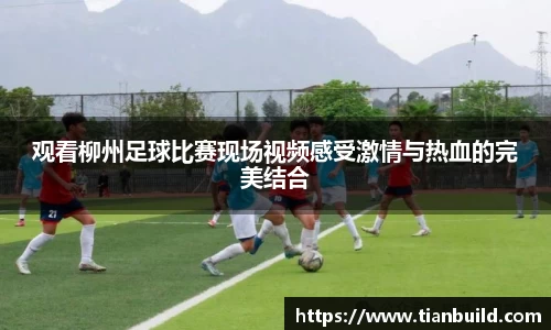 龙珠体育