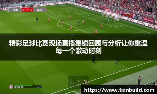 龙珠体育直播