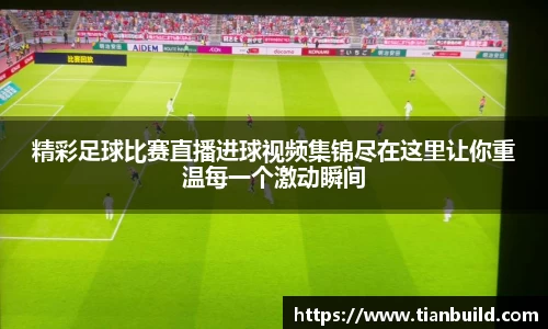 龙珠体育