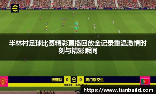 龙珠体育直播