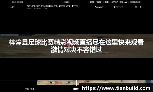 龙珠体育