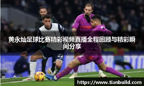 龙珠体育