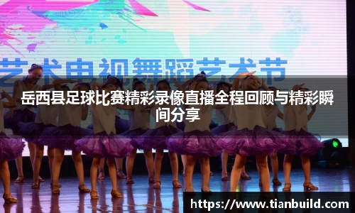龙珠足球直播