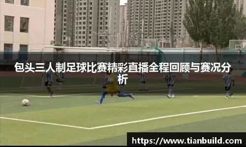 龙珠体育直播