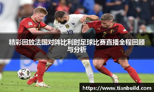 龙珠体育直播