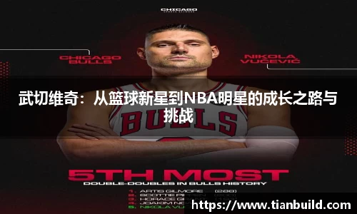 龙珠体育
