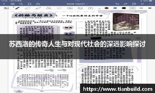 龙珠体育直播