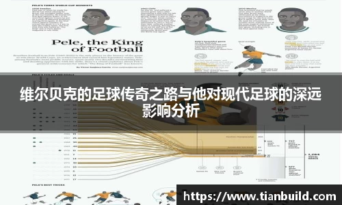 龙珠体育直播