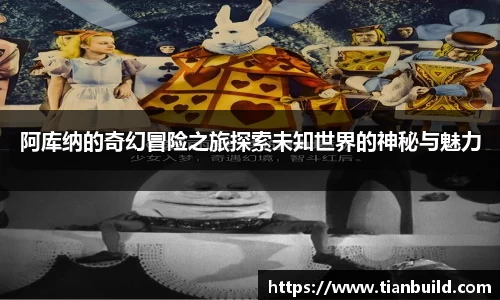 龙珠体育