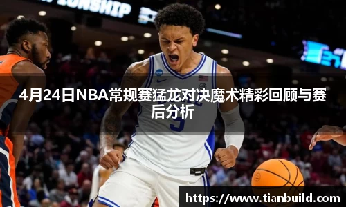龙珠体育