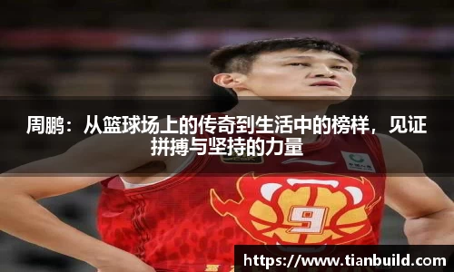龙珠体育直播
