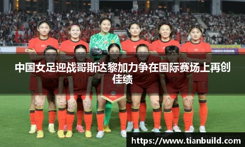 龙珠体育